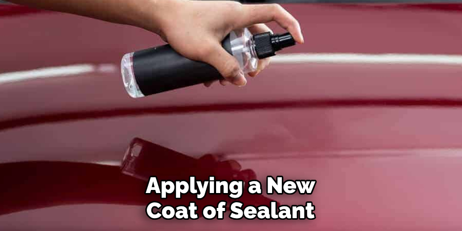 Applying a New Coat of Sealant
