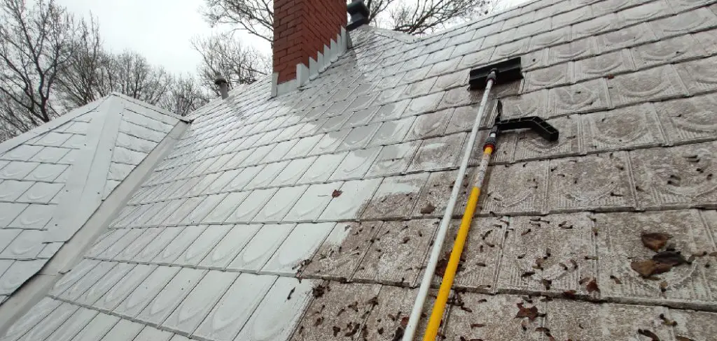 How to Remove Lichen from Metal Roof