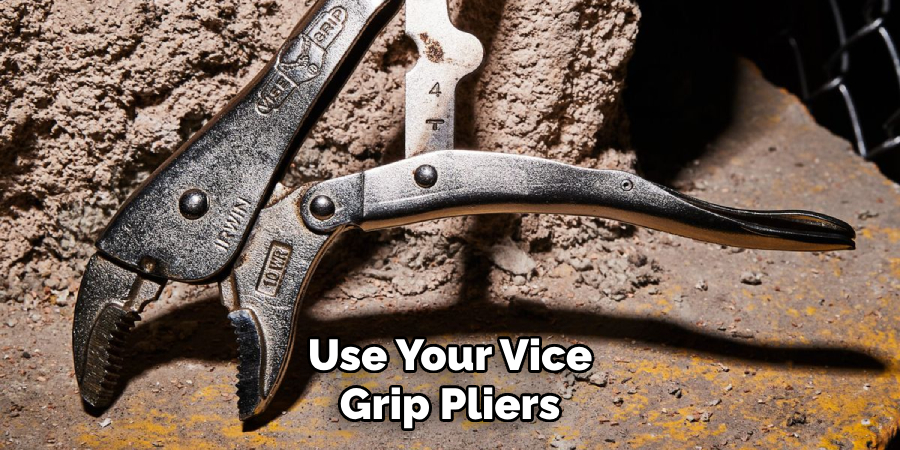 Use Your Vice Grip Pliers
