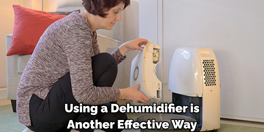 Using a Dehumidifier is 
Another Effective Way