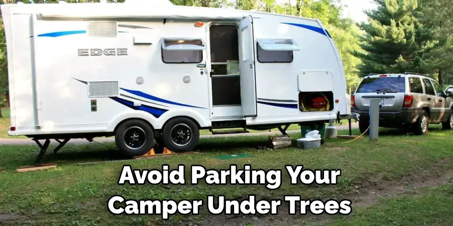 Avoid Parking Your Camper Under Trees