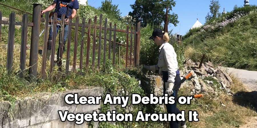 Clear Any Debris or Vegetation Around It