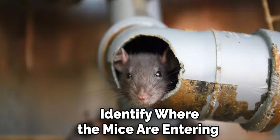  Identify Where the Mice Are Entering
