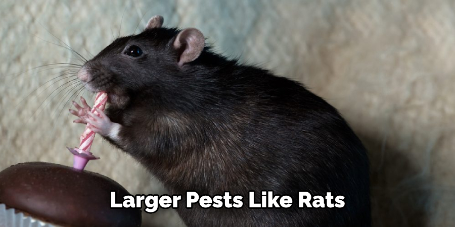  Larger Pests Like Rats