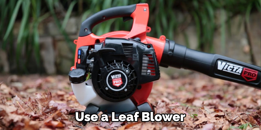 Use a Leaf Blower