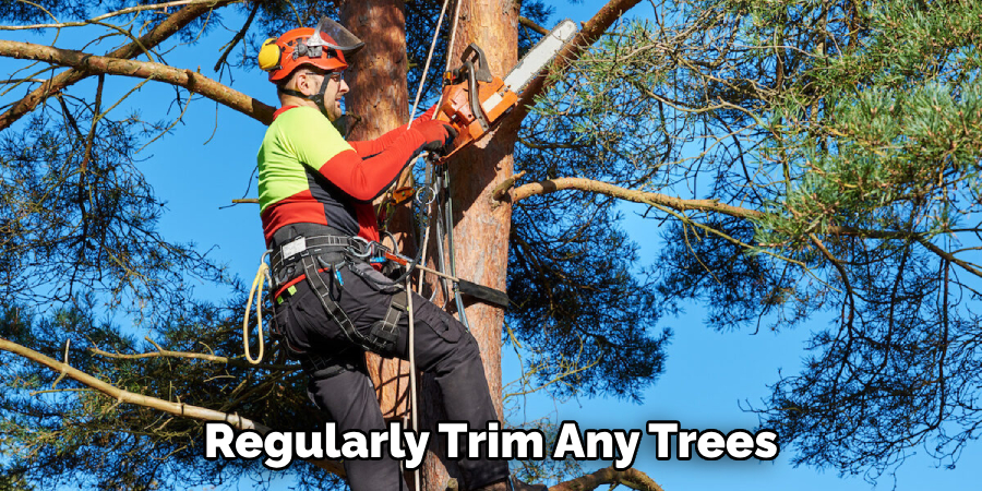  Regularly Trim Any Trees