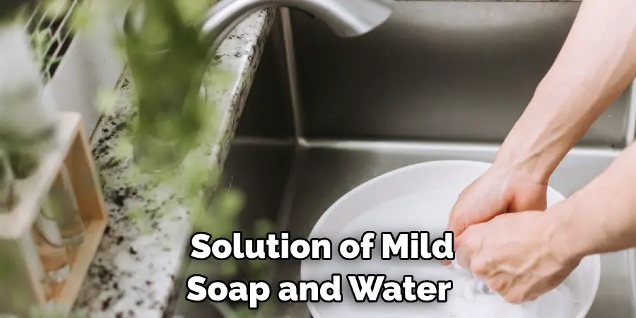 Solution of Mild Soap and Water 