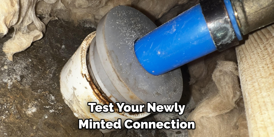  Test Your Newly 
Minted Connection