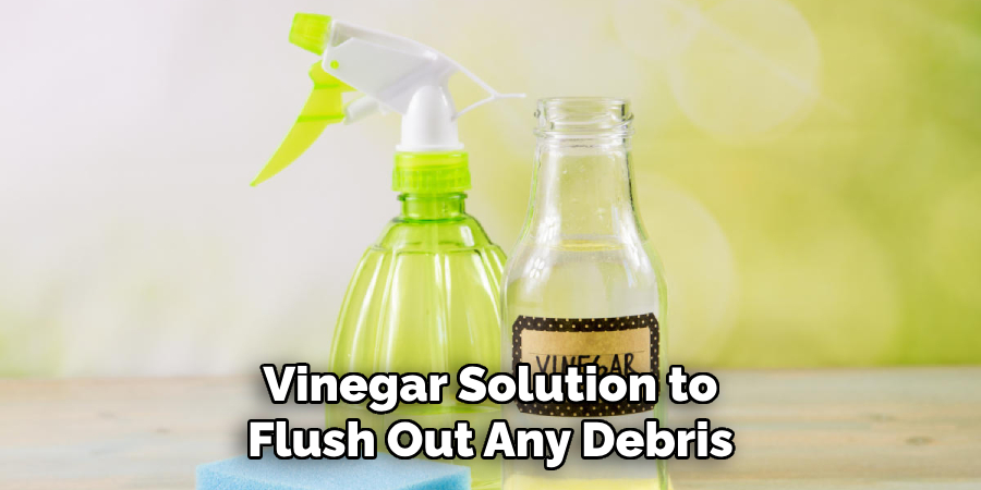 Vinegar Solution to Flush Out Any Debris