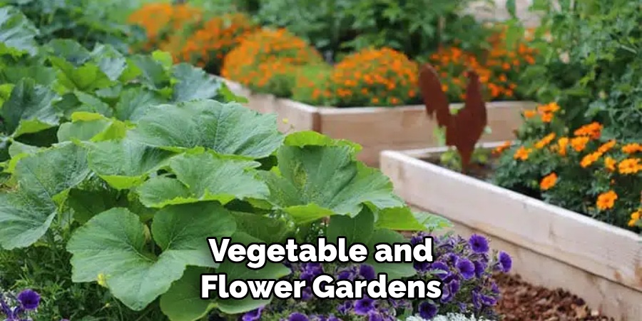 Vegetable and Flower Gardens