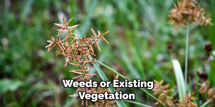 Weeds or Existing Vegetation 