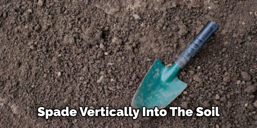 Spade Vertically Into the Soil 