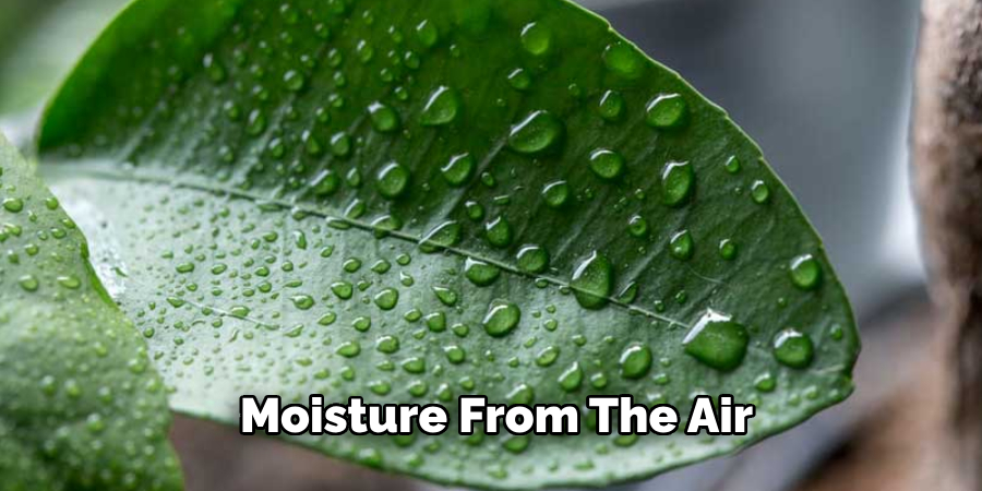 Moisture From the Air