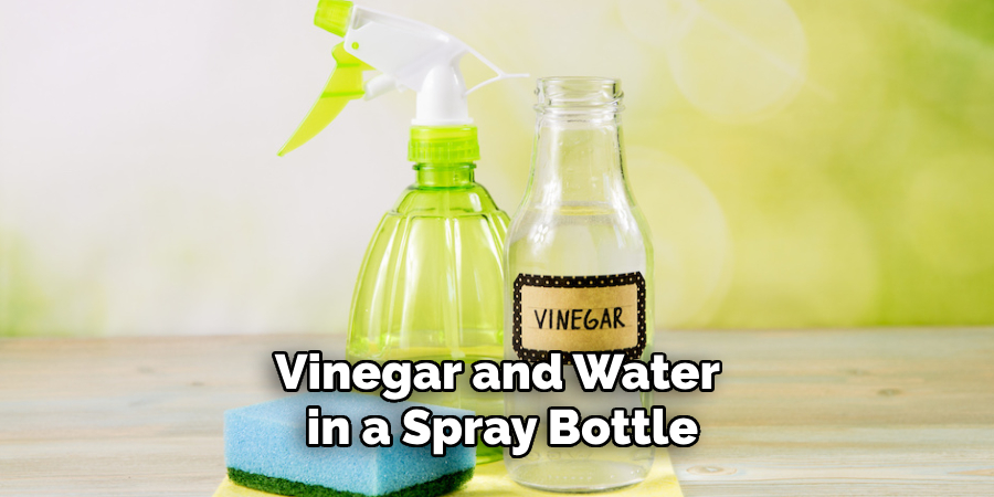 Vinegar and Water in a Spray Bottle