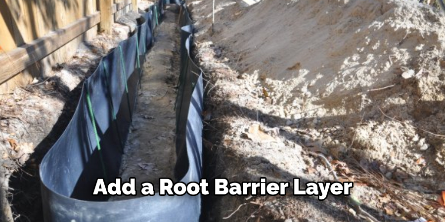 Add a Root Barrier Layer