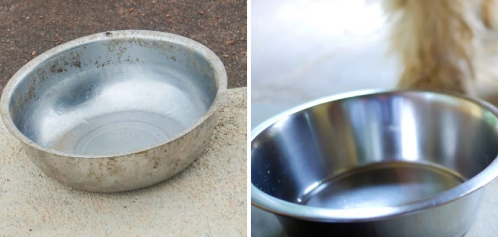 How to Clean Stainless Steel Dog Bowls