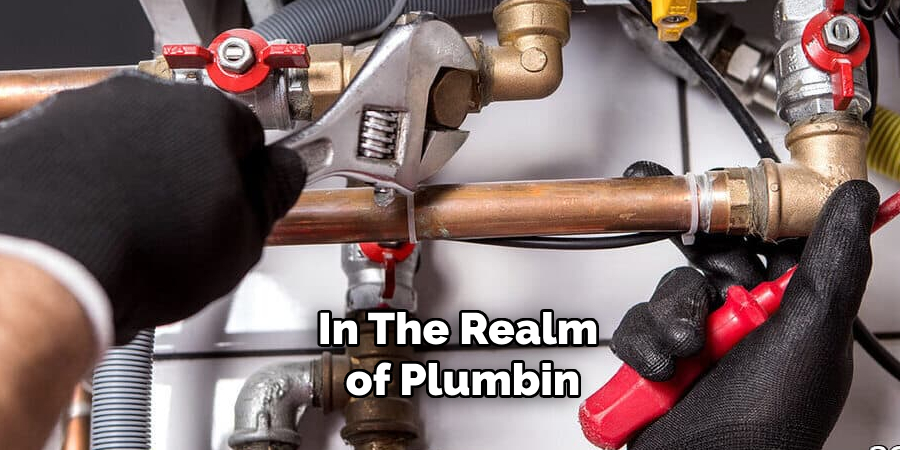 In the Realm of Plumbin