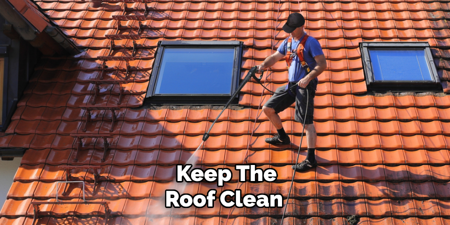 Keep the Roof Clean 