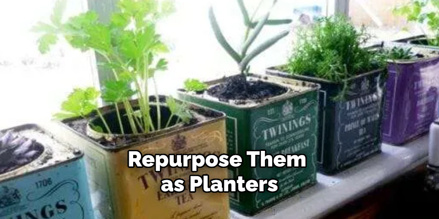 Repurpose Them as Planters