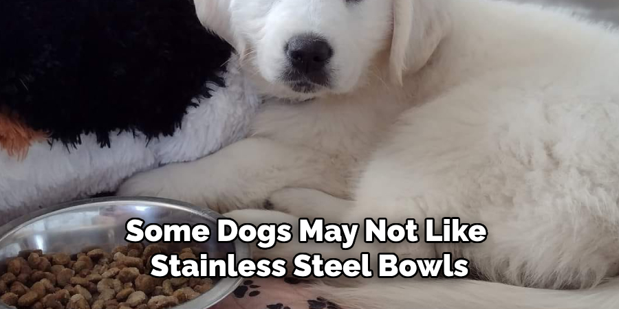 Some Dogs May Not Like Stainless Steel Bowls