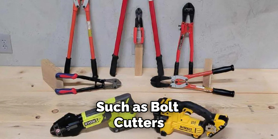 Such as Bolt Cutters