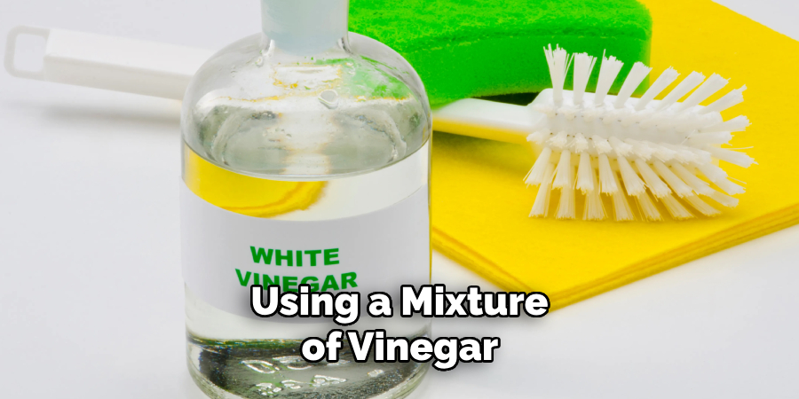 Using a Mixture of Vinegar 