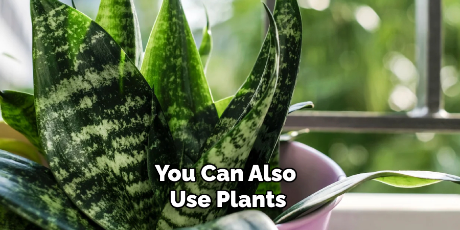 You Can Also Use Plants