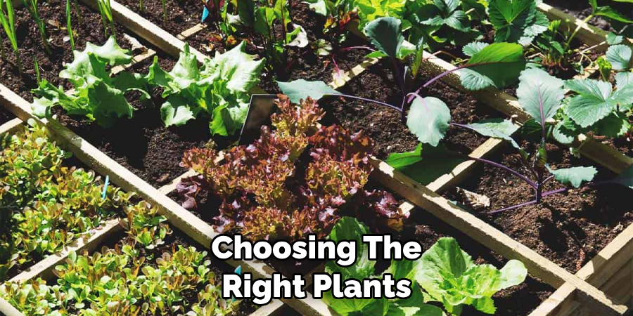 Choosing the Right Plants