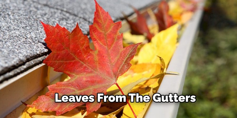 Leaves From the Gutters 