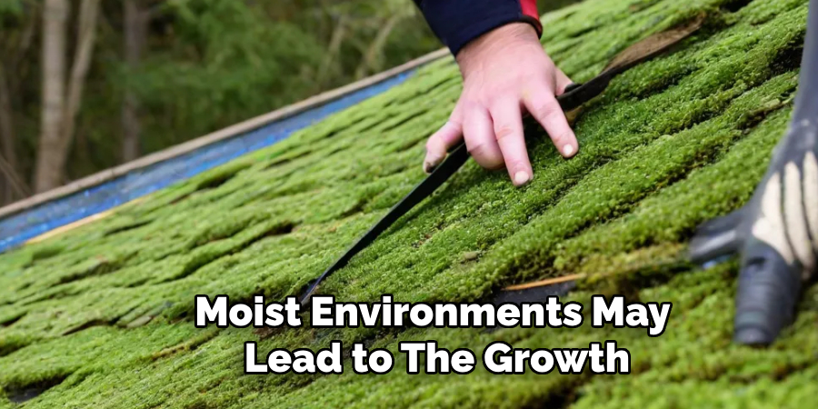 Moist environments may lead to the growth