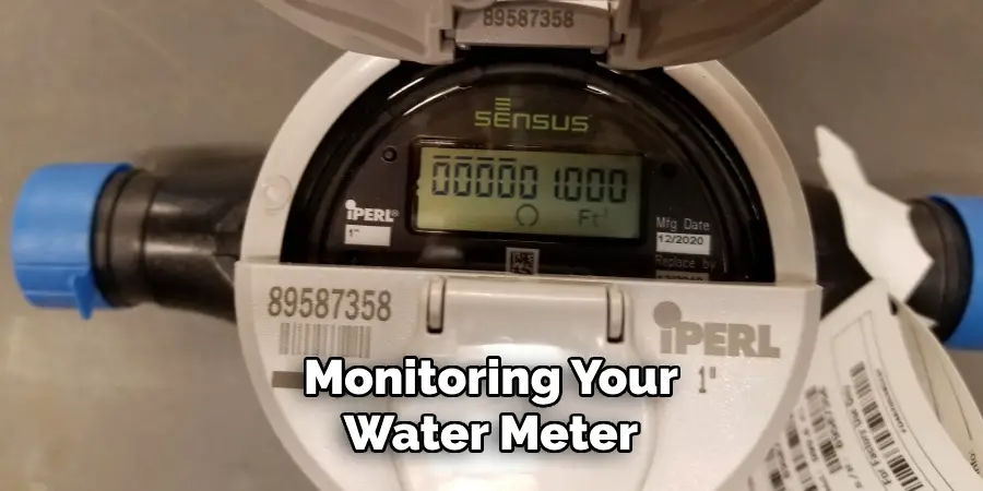 Monitoring Your Water Meter 