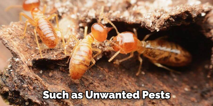 Such as Unwanted Pests 