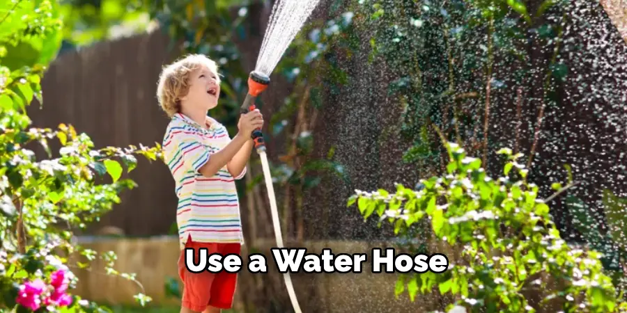 Use a Water Hose 