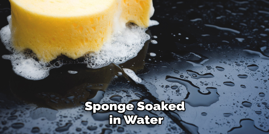 Sponge Soaked in Water