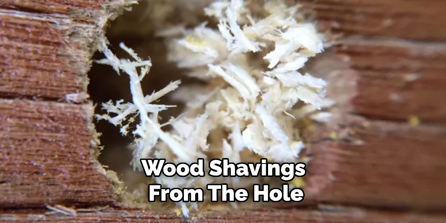 Wood Shavings From the Hole