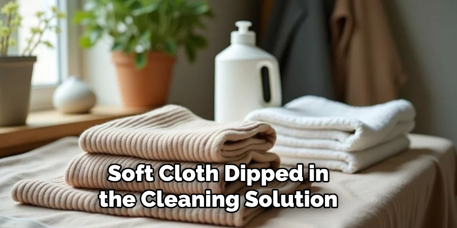Soft Cloth Dipped in the Cleaning Solution