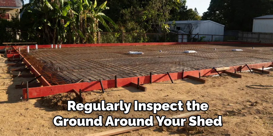 Regularly Inspect the Ground Around Your Shed