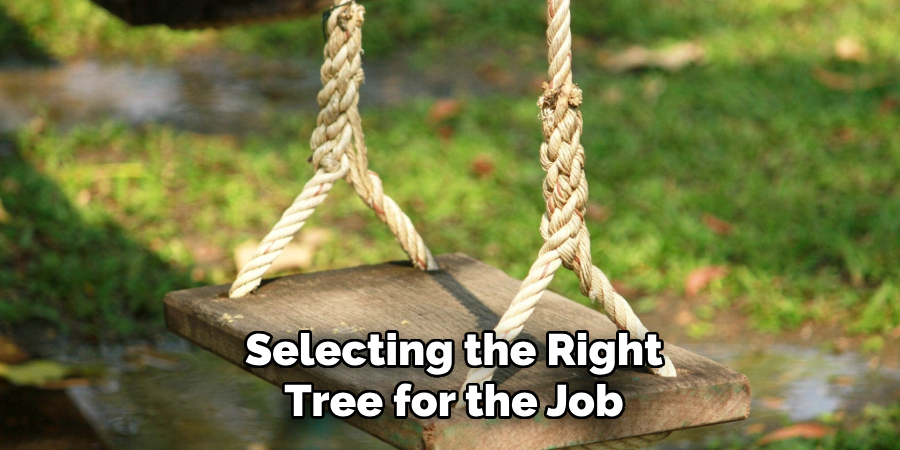 Selecting the Right
Tree for the Job