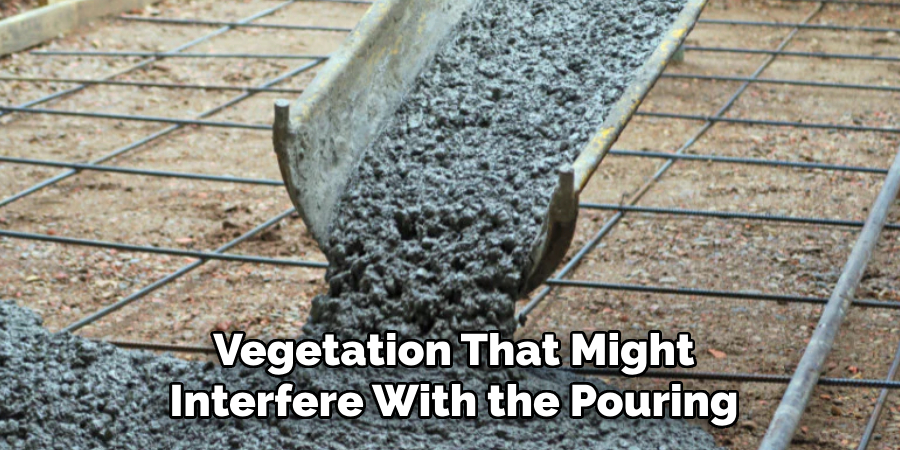 Vegetation That Might Interfere With the Pouring