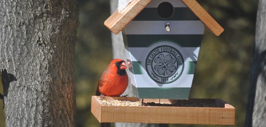 How to Fix a Metal Bird Feeder White