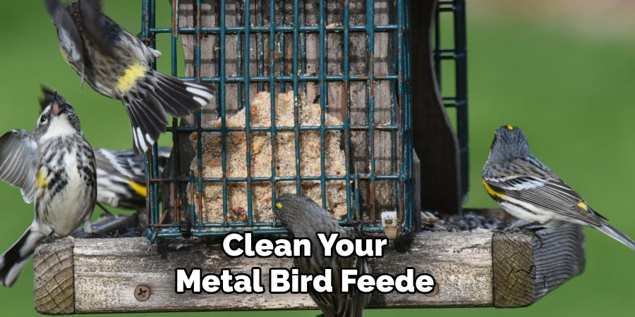Clean Your
Metal Bird Feede
