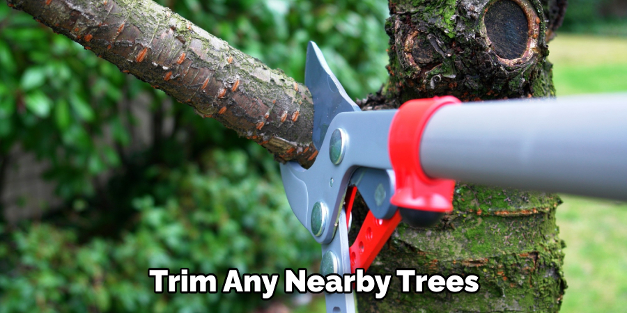 Trim Any Nearby Trees