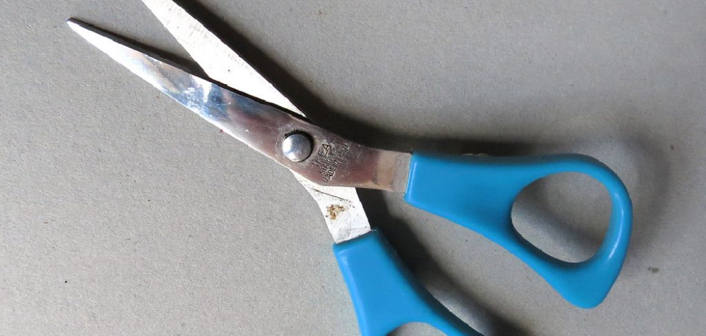 How to Fix Loose Scissors