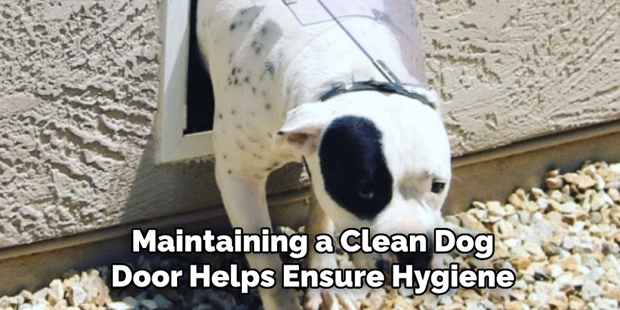 Maintaining a Clean Dog Door Helps Ensure Hygiene