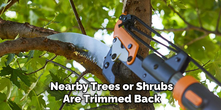 Nearby Trees or Shrubs Are Trimmed Back