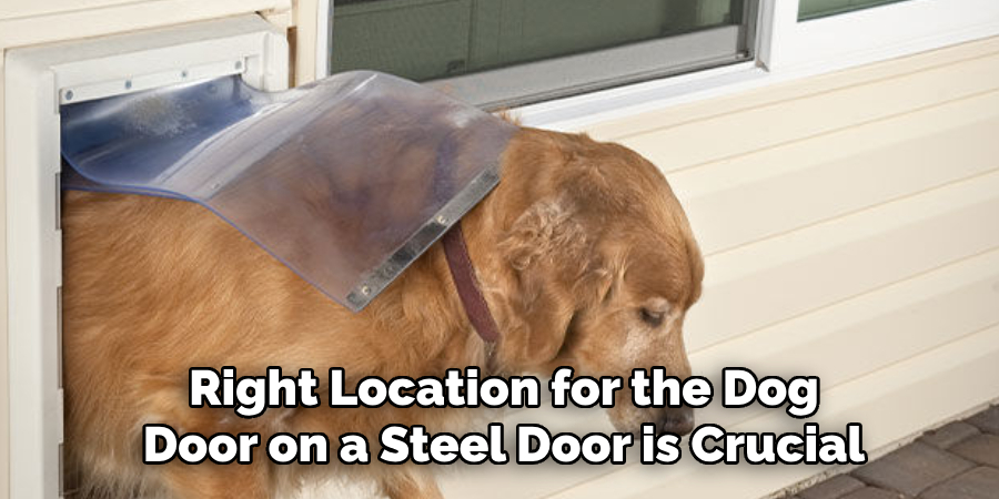 right location for the dog door on a steel door is crucial