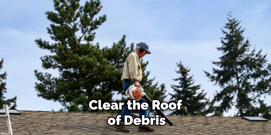 Clear the Roof of Debris